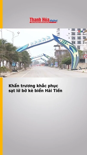 Khẩn trương khắc phục sạt lở bờ kè biển Hải Tiến