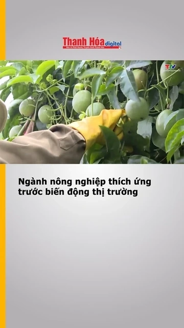 Ngành nông nghiệp thích ứng trước biến động thị trường