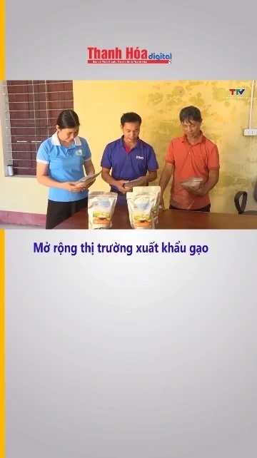 Mở rộng thị trường xuất khẩu gạo