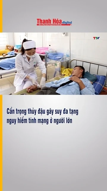 Tthủy đậu gây suy đa tạng, nguy hiểm tính mạng ở người lớn