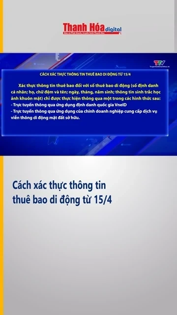Cách xác thực thông tin thuê bao di động từ ngày 15/4