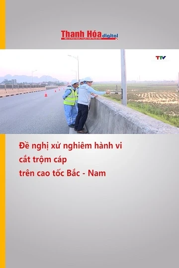 Đề nghị xử nghiêm hành vi cắt trộm cáp trên cao tốc Bắc - Nam