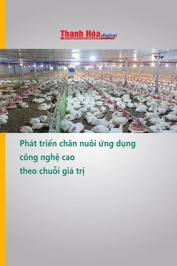 Phát triển chăn nuôi ứng dụng công nghệ cao theo chuỗi giá trị