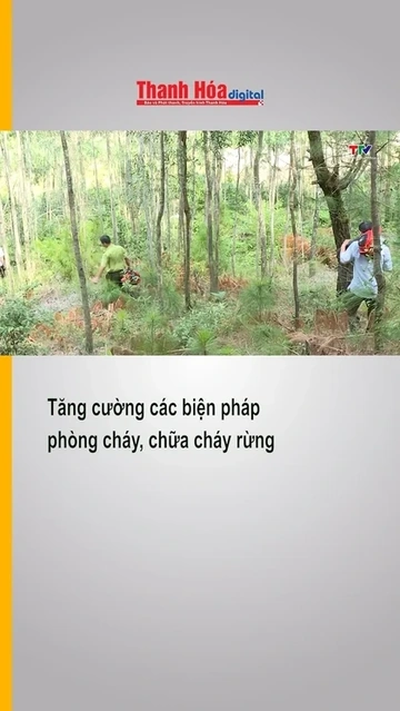 Tăng cường các biện pháp phòng cháy, chữa cháy rừng