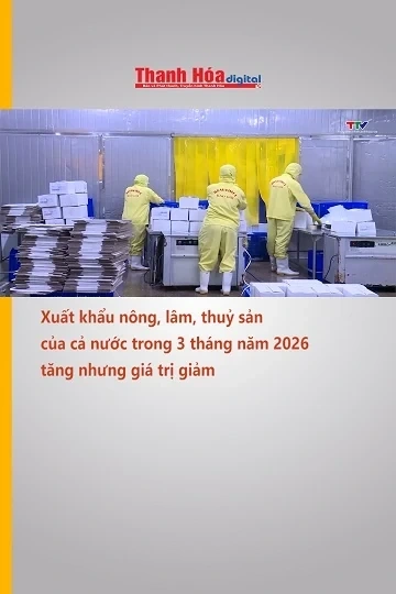 Xuất khẩu nông, lâm, thuỷ sản của cả nước trong 3 tháng năm 2026 tăng nhưng giá trị giảm