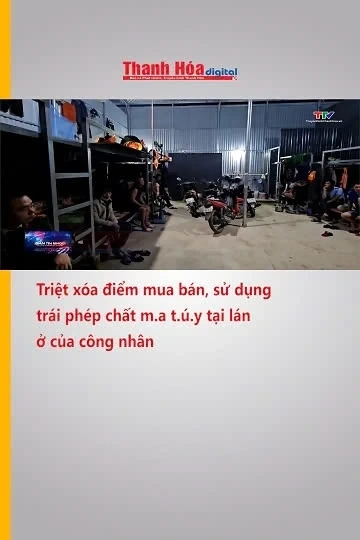 Triệt xóa điểm mua bán, sử dụng trái phép chất ma túy tại lán ở của công nhân