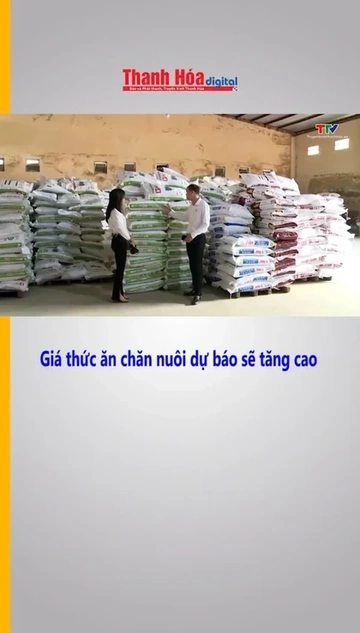 Giá thức ăn chăn nuôi dự báo sẽ tăng cao