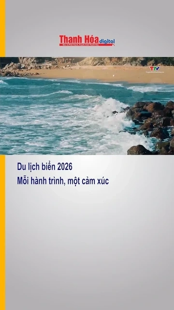 Du lịch biển 2026 - Mỗi hành trình, một cảm xúc
