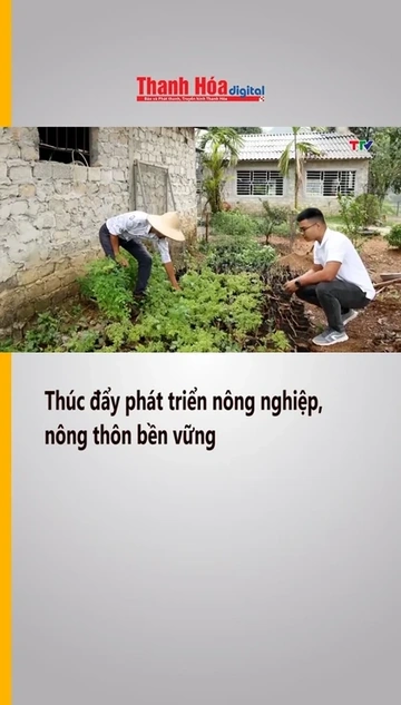Thúc đẩy phát triển nông nghiệp, nông thôn bền vững