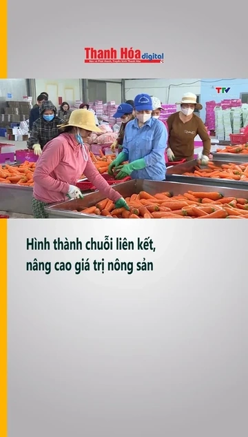 Hình thành chuỗi liên kết, nâng cao giá trị nông sản