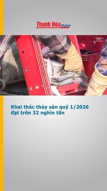 Khai thác thủy sản quý 1/2026 đạt trên 32 nghìn tấn