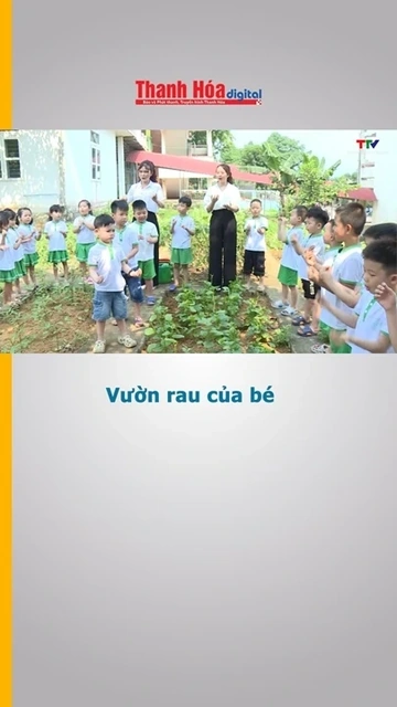Vườn rau của bé