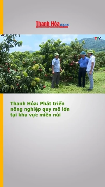 Thanh Hóa: Phát triển nông nghiệp quy mô lớn tại khu vực miền núi