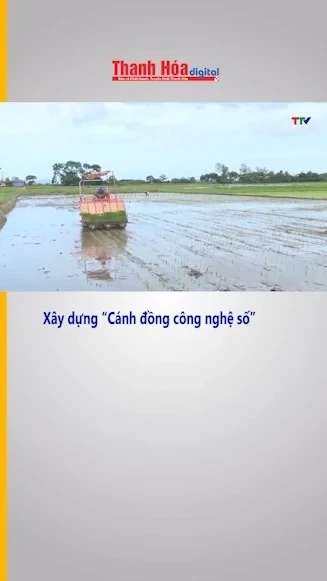 Xây dựng “Cánh đồng công nghệ số”