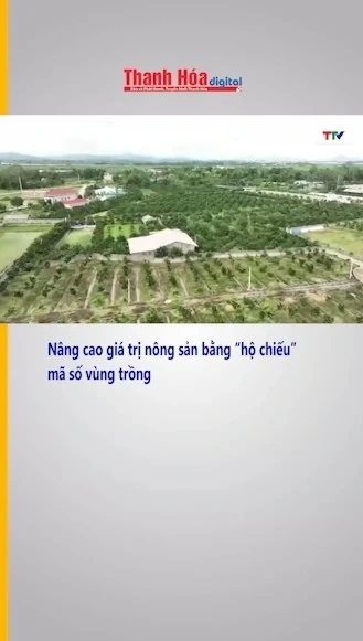 Nâng cao giá trị nông sản bằng “hộ chiếu” Mã số vùng trồng