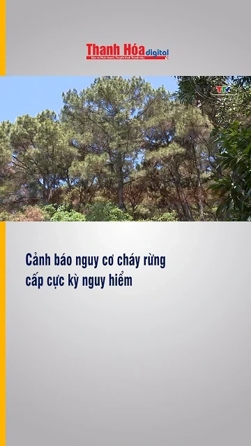 Cảnh báo nguy cơ cháy rừng cấp cực kỳ nguy hiểm
