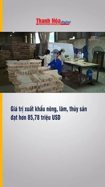 Giá trị xuất khẩu nông, lâm, thủy sản đạt hơn 85,78 triệu USD