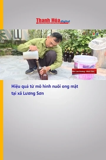 Hiệu quả từ mô hình nuôi ong mật tại xã Lương Sơn