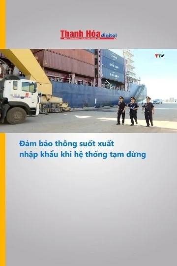 Đảm bảo thông suốt xuất nhập khẩu khi hệ thống tạm dừng