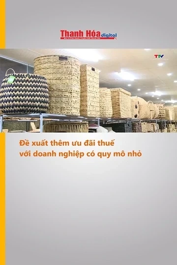 Đề xuất thêm ưu đãi thuế với doanh nghiệp có quy mô nhỏ