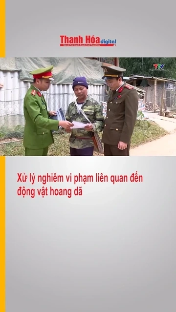 Xử lý nghiêm vi phạm liên quan động vật hoang dã