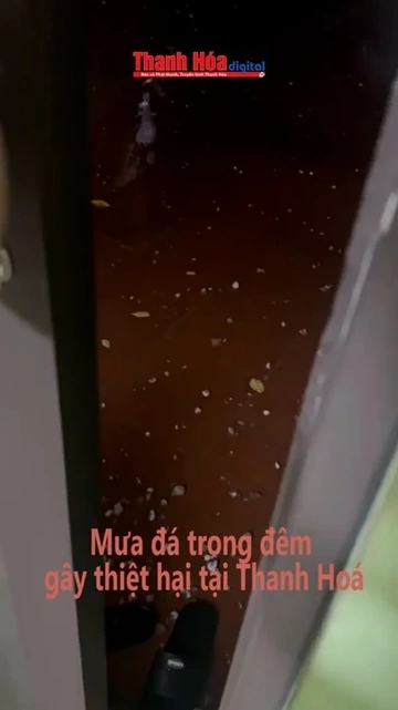 Mưa đá trong đêm gây thiệt hại tại Thanh Hóa