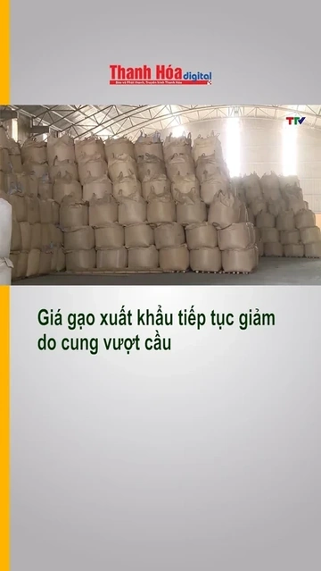 Giá gạo xuất khẩu tiếp tục giảm do cung vượt cầu