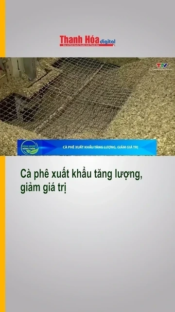 Cà phê xuất khẩu tăng lượng, giảm giá trị