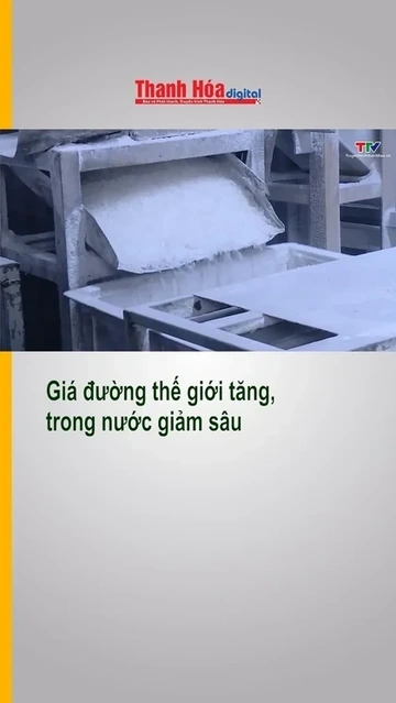 Giá đường thế giới tăng, trong nước giảm sâu