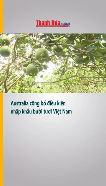 Australia công bố điều kiện nhập khẩu bưởi tươi Việt Nam