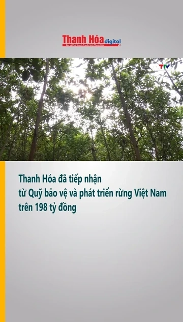 Thanh Hóa đã tiếp nhận từ Quỹ bảo vệ và phát triển rừng Việt Nam trên 198 tỷ đồng