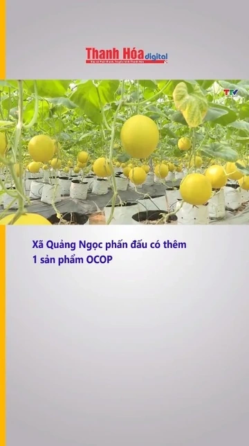 Xã Quảng Ngọc phấn đấu có thêm 1 sản phẩm OCOP