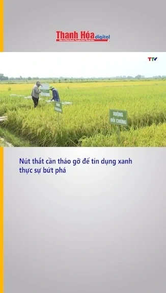 Nút thắt cần tháo gỡ để tín dụng xanh thực sự bứt phá