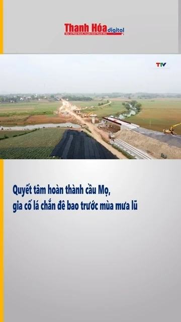 Quyết tâm hoàn thành cầu Mọ, gia cố lá chắn đê bao trước mùa mưa lũ