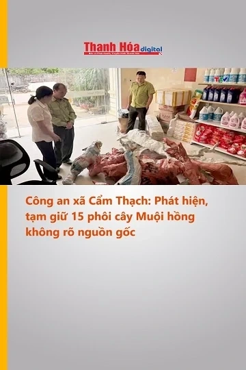 Công an xã Cẩm Thạch: Phát hiện, tạm giữ 15 phôi cây Muội hồng không rõ nguồn gốc