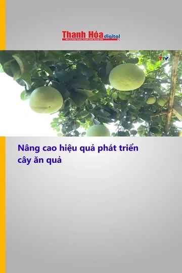 Nâng cao hiệu quả phát triển cây ăn quả