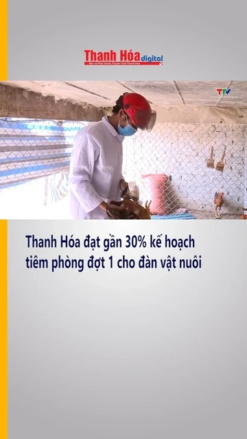 Thanh Hóa đạt gần 30% kế hoạch tiêm phòng đợt 1 cho đàn vật nuôi