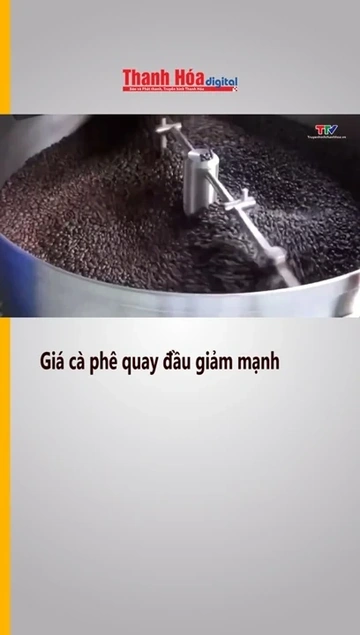 Giá cà phê quay đầu giảm mạnh