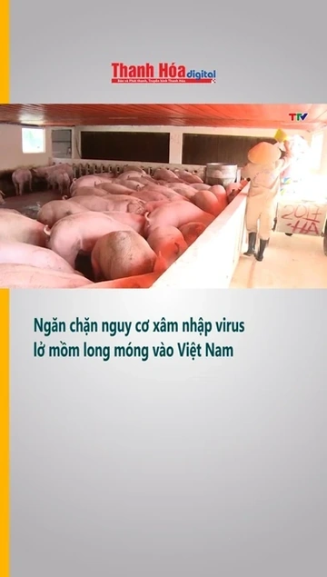 Ngăn chặn nguy cơ xâm nhập virus lở mồm long móng vào Việt Nam