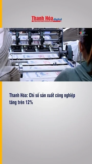 Thanh Hóa: Chỉ số sản xuất công nghiệp tăng trên 12%