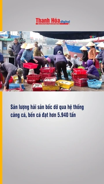 Sản lượng hải sản bốc dỡ qua hệ thống cảng cá, bến cá đạt hơn 5.940 tấn