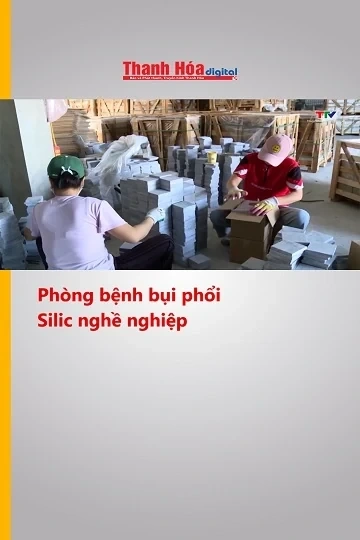 Phòng bệnh bụi phổi Silic nghề nghiệp