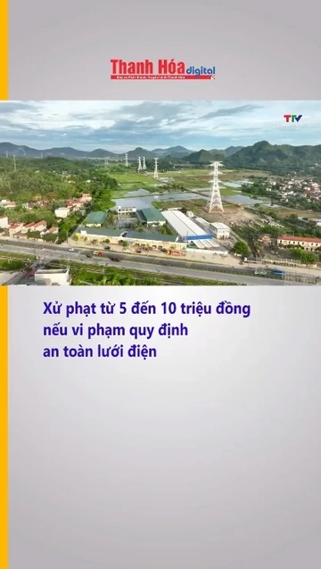 Xử phạt từ 5 đến 10 triệu đồng nếu vi phạm quy định an toàn lưới điện