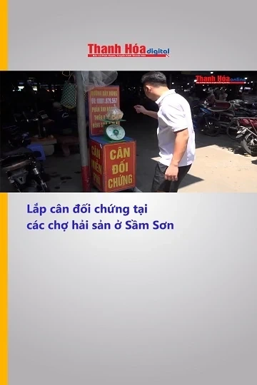 Lắp cân đối chứng tại các chợ hải sản ở Sầm Sơn