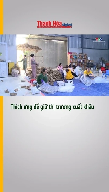 Thích ứng để giữ thị trường xuất khẩu