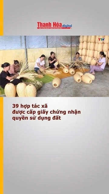39 hợp tác xã được cấp giấy chứng nhận quyền sử dụng đất