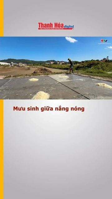 Mưu sinh giữa nắng nóng