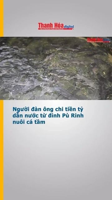 Người đàn ông chi tiền tỷ dẫn nước từ đỉnh Pù Rinh nuôi cá tầm