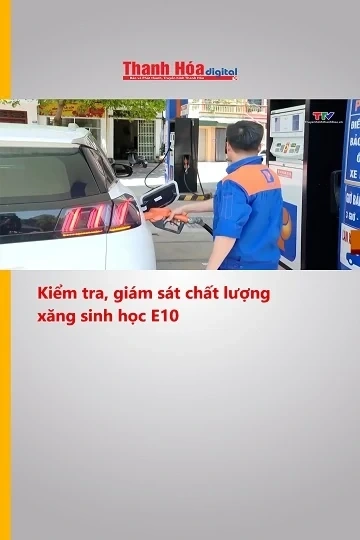 Kiểm tra, giám sát chất lượng xăng sinh học E10
