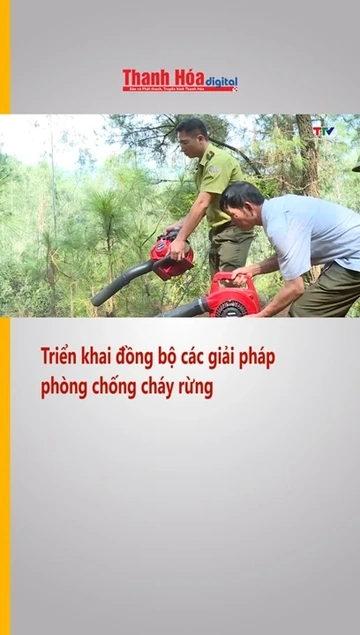 Triển khai đồng bộ các giải pháp phòng chống cháy rừng